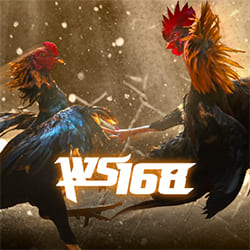 WS168